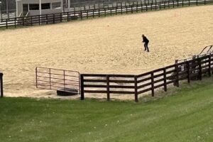 Shenandoah Riding Center