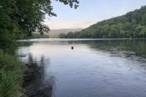 Shenandoah Stars cabin