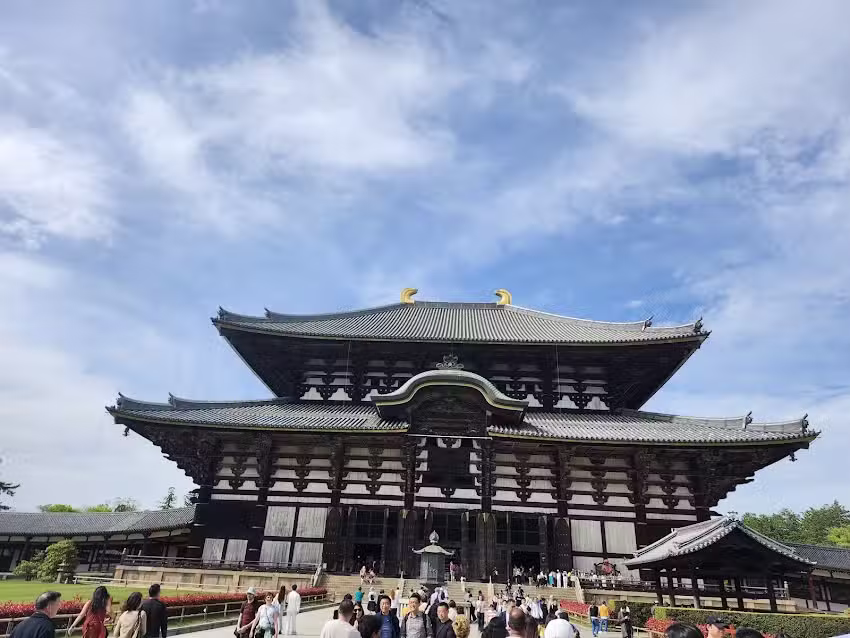 Shiloh Travel & Tours