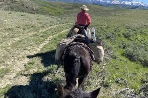 Shoal Creek Outfitters