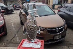 Shooting Star Travels