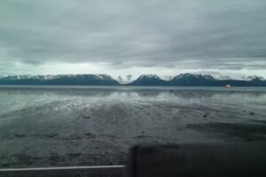 Shoreside Guest House