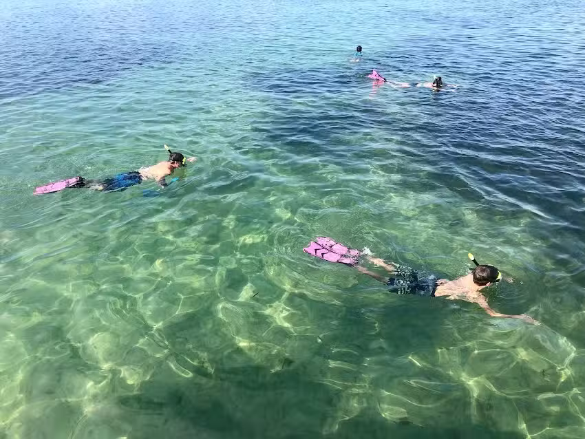 Siesta Key Snorkel
