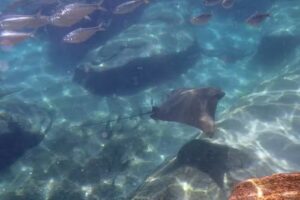 Sights Unseen Travel