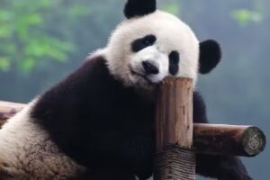 Signature Travel & Tours