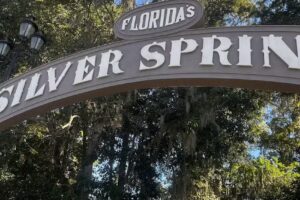 Silver Springs State Park Glass Bottom Boat Tours
