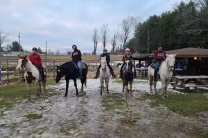 Silver Stallion Stables