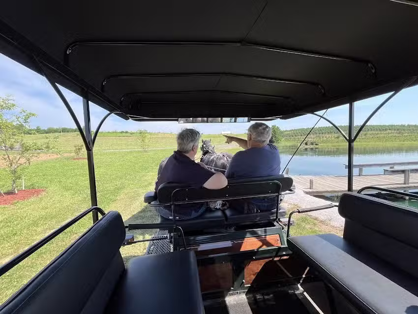 Silvershire Farm Horse Carriage and Wagon Rides