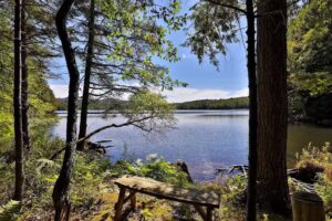 Simple Vacation Rentals