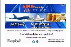Sina International Travel