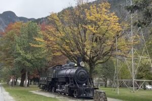 Skagit Information Center