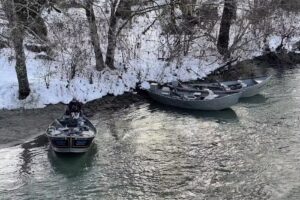 Skagit River Eagle Tours