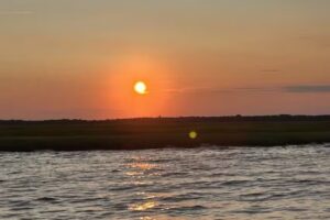 Skimmer Tours – Salt Marsh Safari