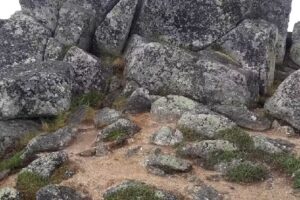 SkyFire In Focus Tours