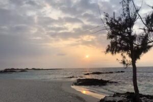 Small World Big Island, Inc.