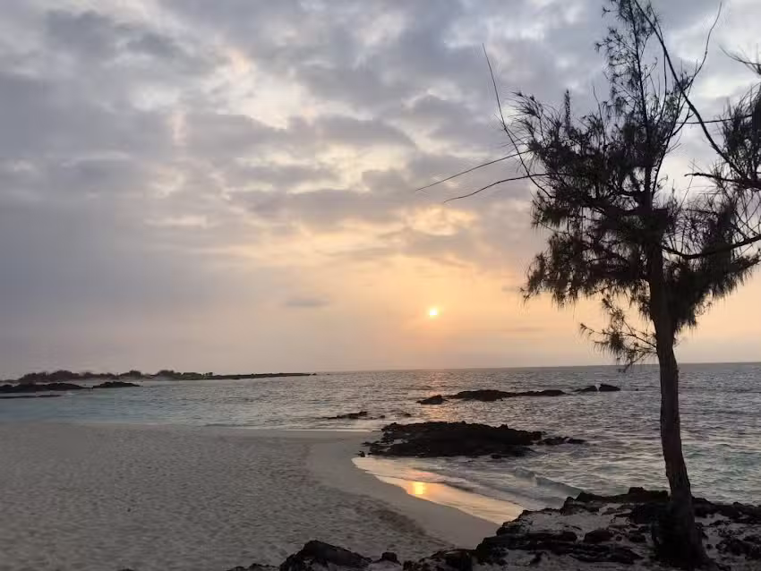 Small World Big Island, Inc.