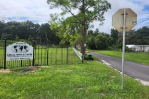 Small World Tours & Cruises