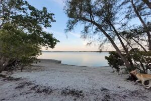 Smallwood Store Boat Tour