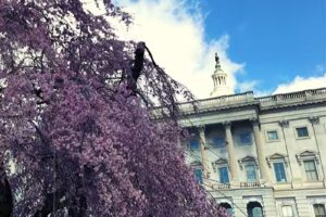 Smart Student Travel