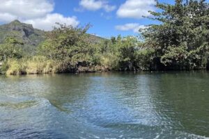Smith’s Fern Grotto Tour