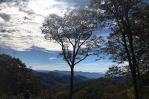 Smoky Mountain Tour Connection – Group & Family Vacation Packages