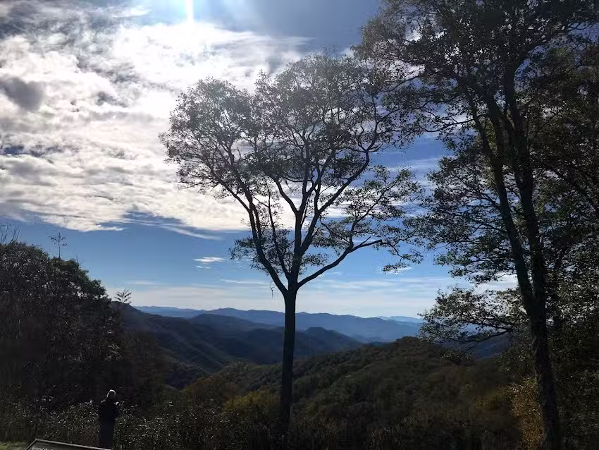 Smoky Mountain Tour Connection – Group & Family Vacation Packages