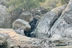 Snake Dancer Excursions – Hells Canyon Tours