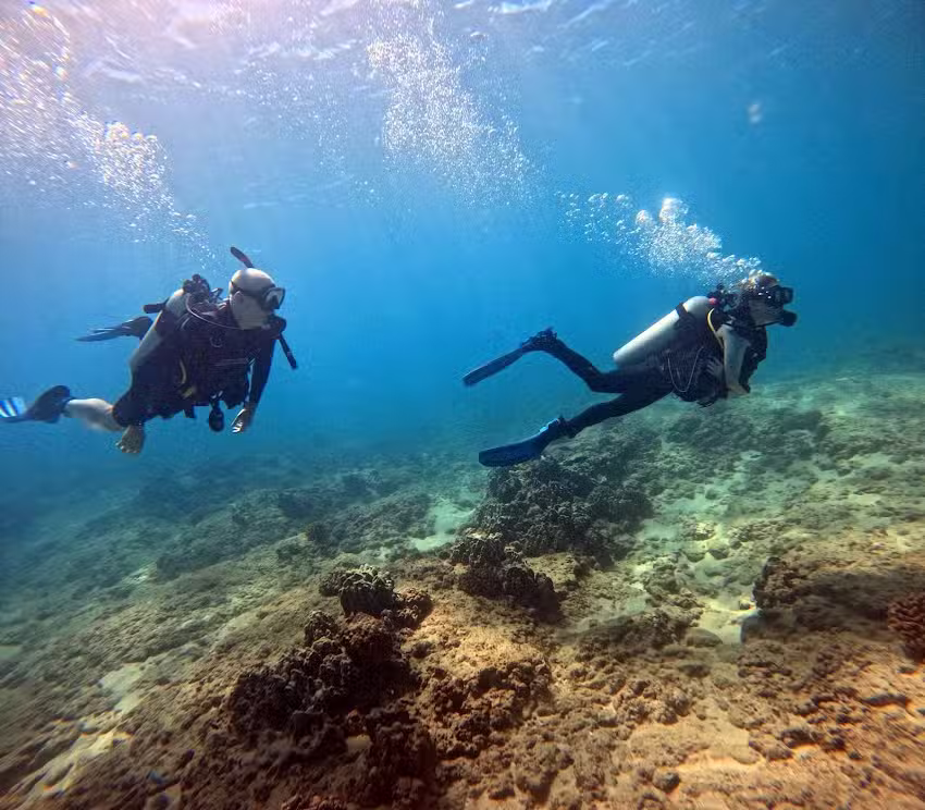 Snorkel And Dive Hawaii
