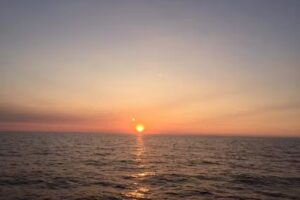 Snorkel Tours & Whale Watching Kona Waikoloa | Kohala Tours