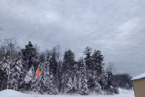 Snowmobile VT Back Country Tours