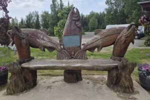 Soldotna Visitor Information