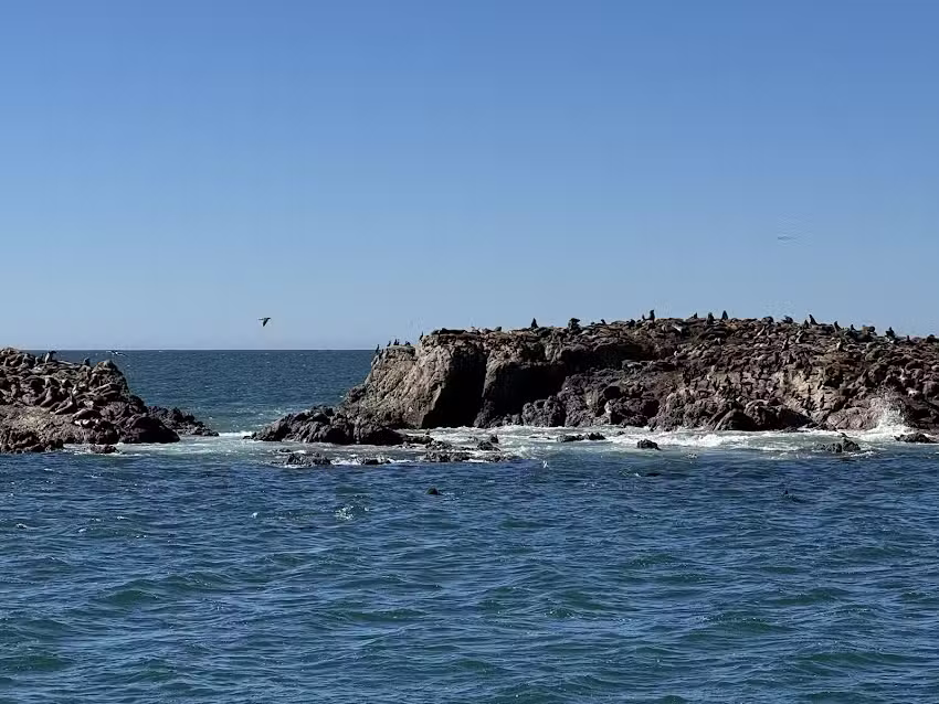 Sonoma Coast Adventures