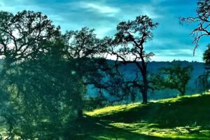 Sonoma Dream Escapes