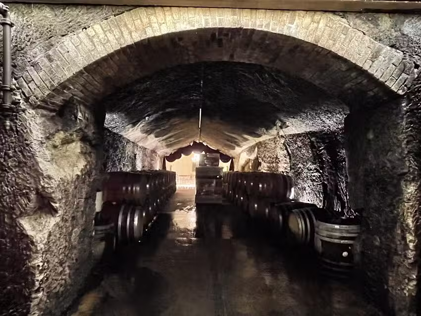 Sonoma Valley Bike Tours & Rentals