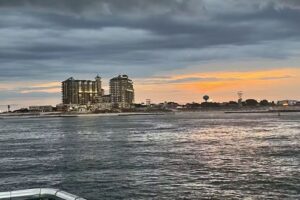 Soundside Cruiser | Destin’s #1 Dolphin Cruise