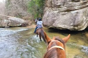 Southeast Pack Trips