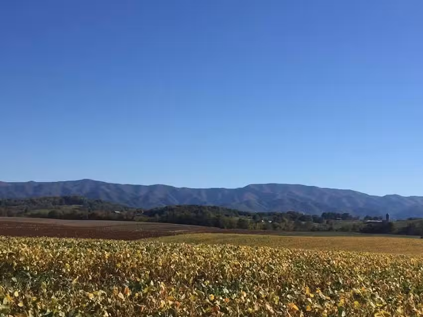 Southern Girl Travels