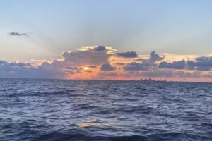 SouthShore Minnow Island Charter