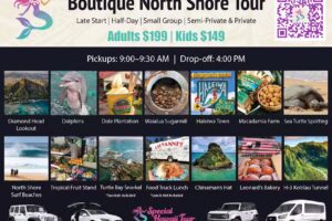 Special Hawaii tours
