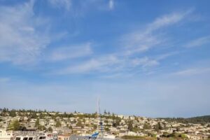 Spirit of Orca Whale Watching, Wildlife, & Birding Tours