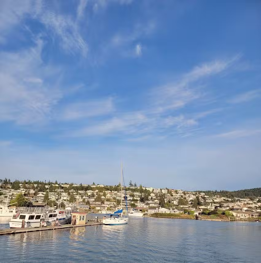 Spirit of Orca Whale Watching, Wildlife, & Birding Tours