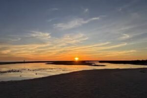 Spongeorama Cruise Lines