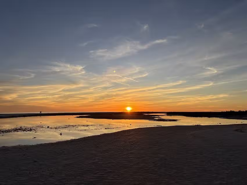 Spongeorama Cruise Lines