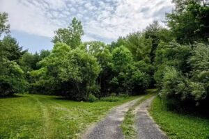 Springs Retreat Cabin
