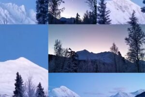 Spruce Moose Chalets