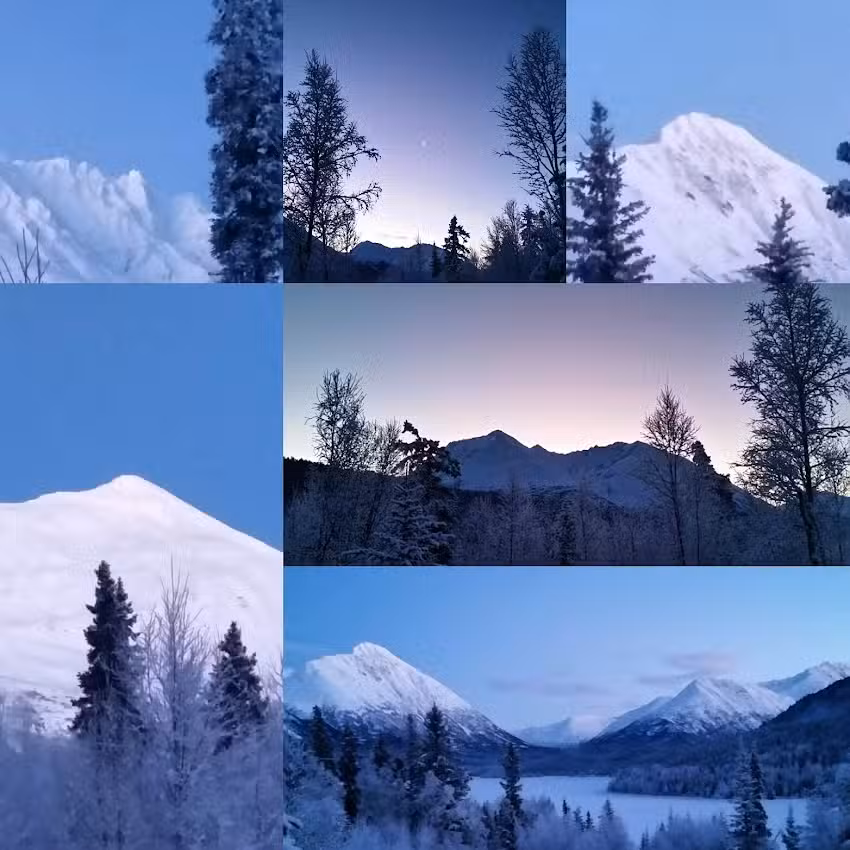 Spruce Moose Chalets