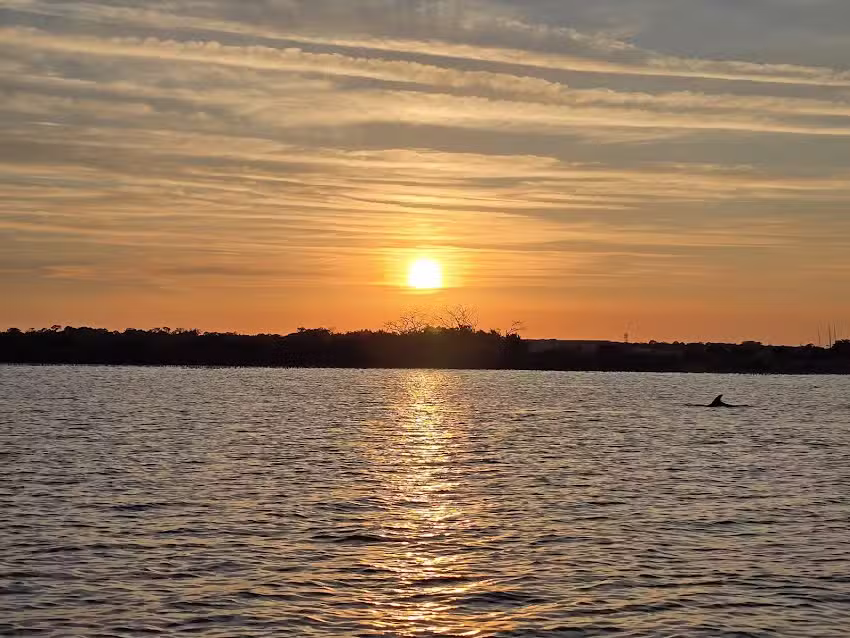 St Augustine ECO Tours