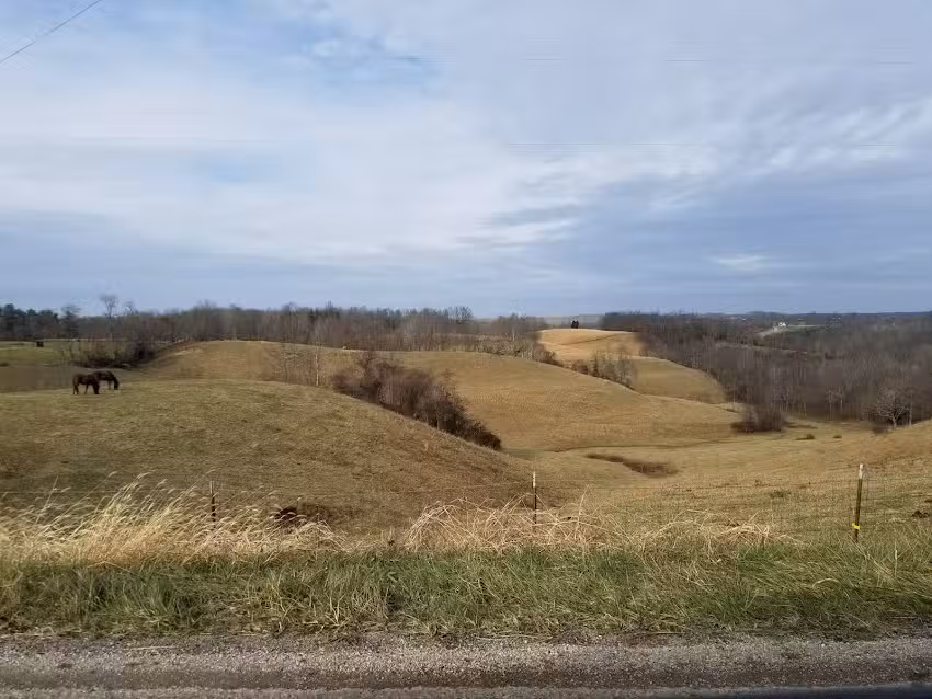 Stafford Hill Cabins