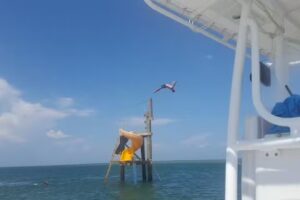 Stafford Property Management Winston Salem NC