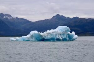 Stan Stephens Glacier & Wildlife Cruises